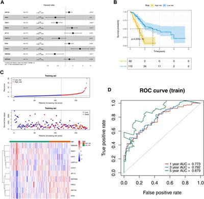 The diagnostic significance of the ZNF gene family in pancreatic cancer: a bioinformatics and experimental study